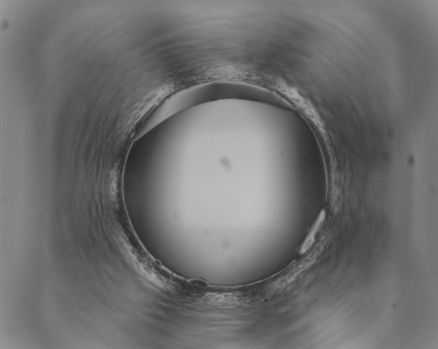 X0000089970057200707131433