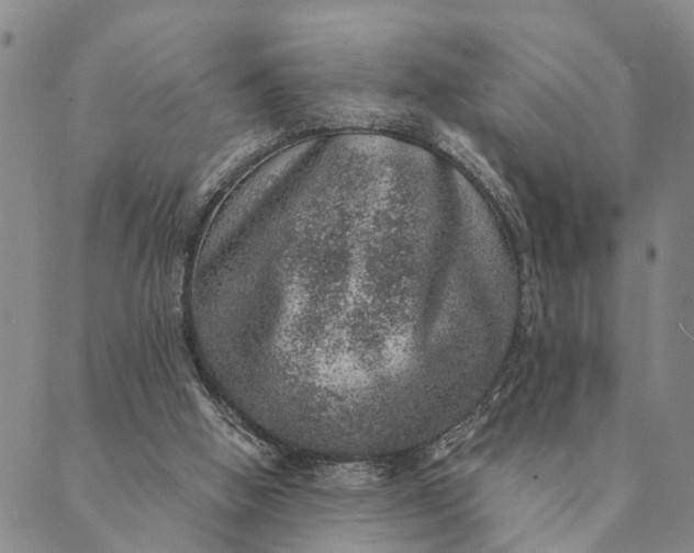 X0000089970058200707131433