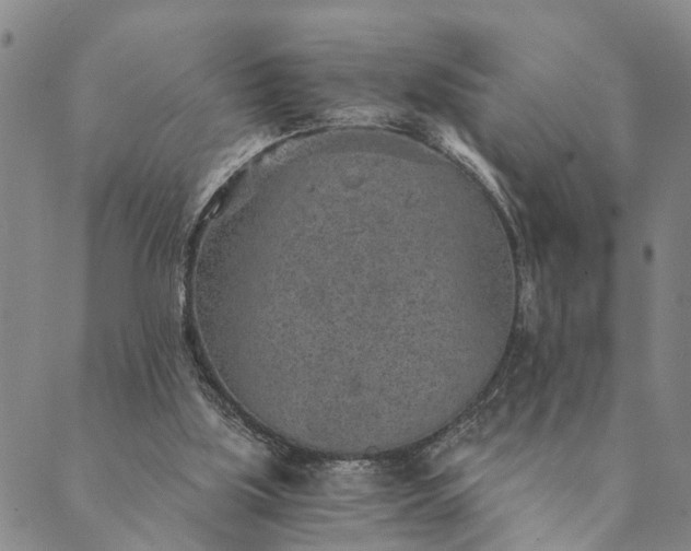 X0000089970059200707131433