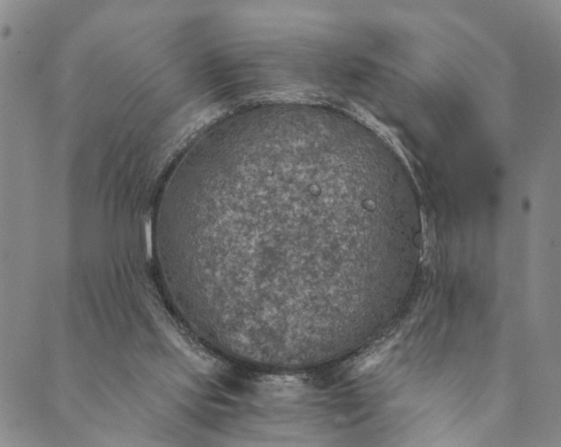 X0000089970061200707131433