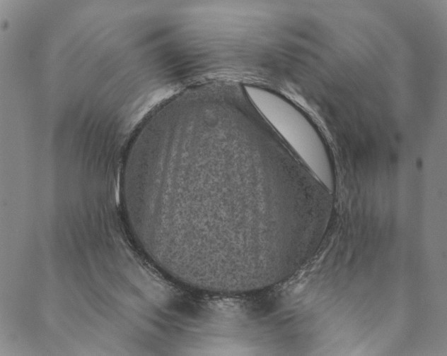 X0000089970062200707131433