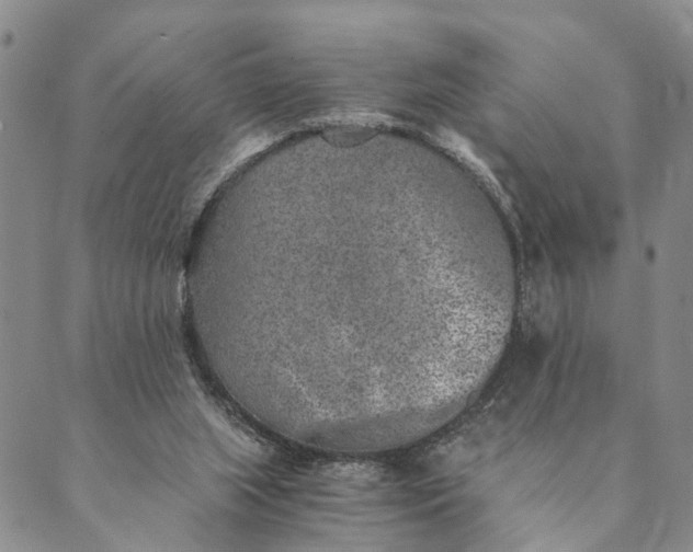 X0000089970063200707131433