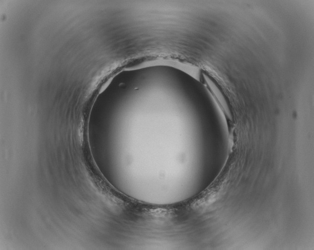 X0000089970064200707131433