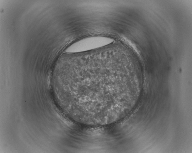 X0000089970065200707131433