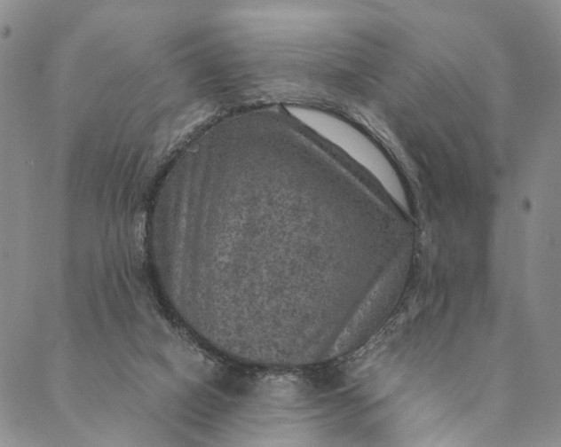 X0000089970066200707131433