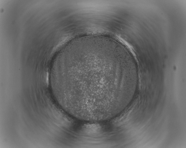 X0000089970067200707131433