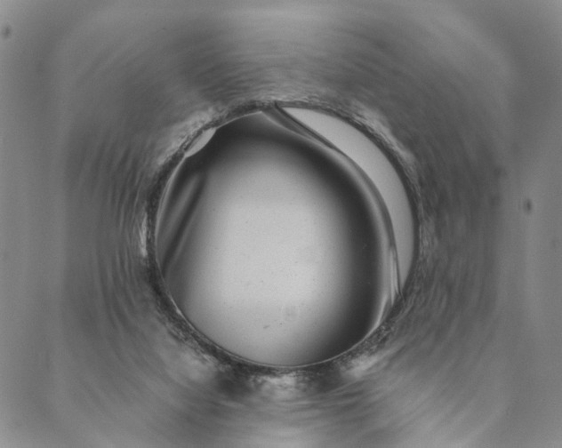 X0000089970068200707131433