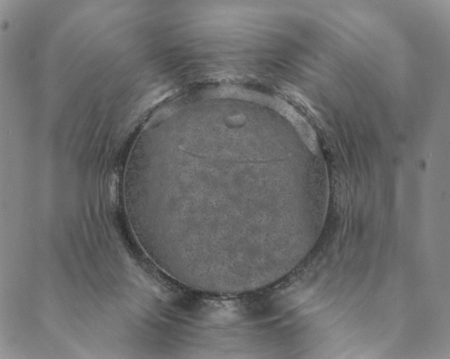 X0000089970071200707131433