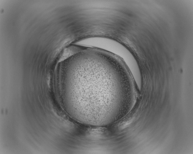 X0000089970072200707131433