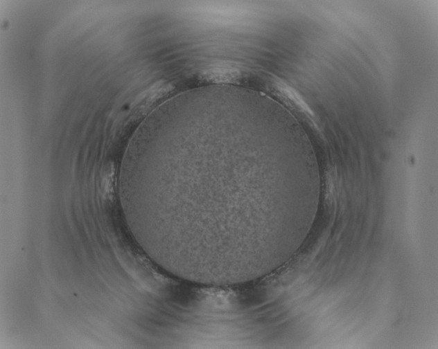 X0000089970073200707131433