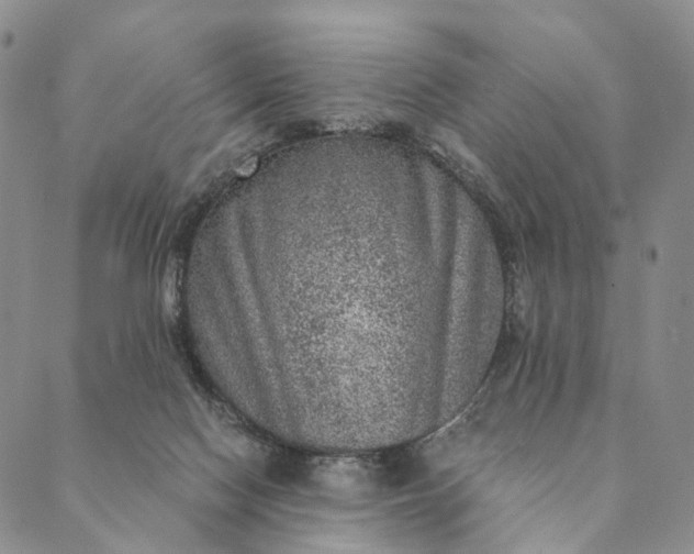 X0000089970074200707131433