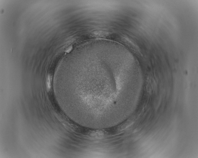 X0000089970075200707131433