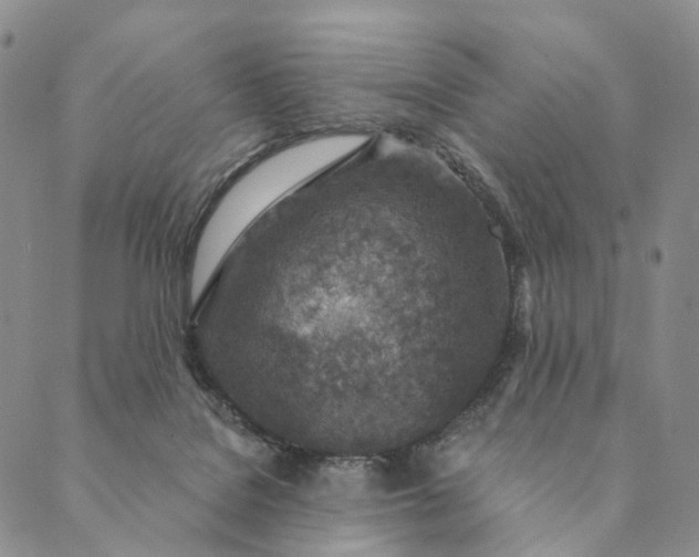 X0000089970076200707131433