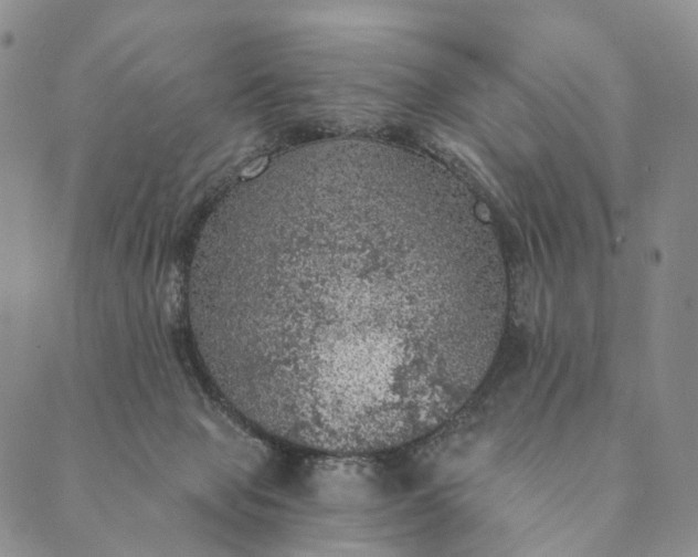 X0000089970077200707131433