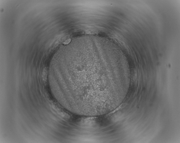 X0000089970078200707131433