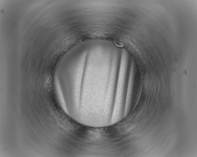 X0000089970079200707131433