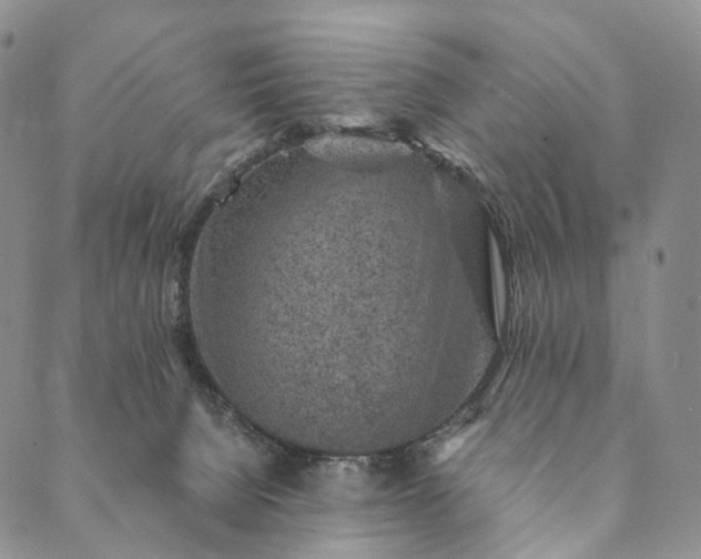 X0000089970080200707131433