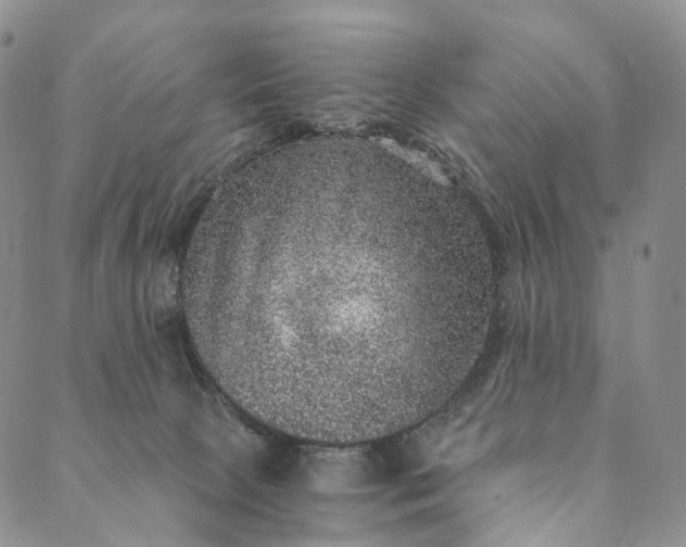 X0000089970081200707131433