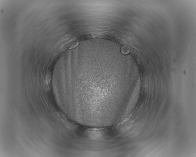 X0000089970082200707131433