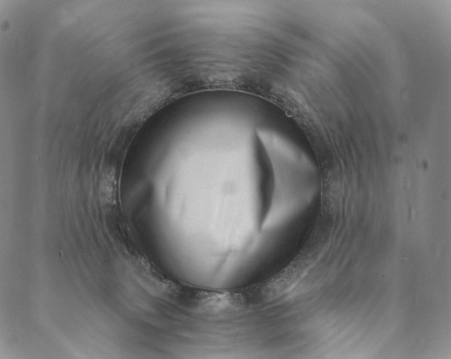 X0000089970083200707131433