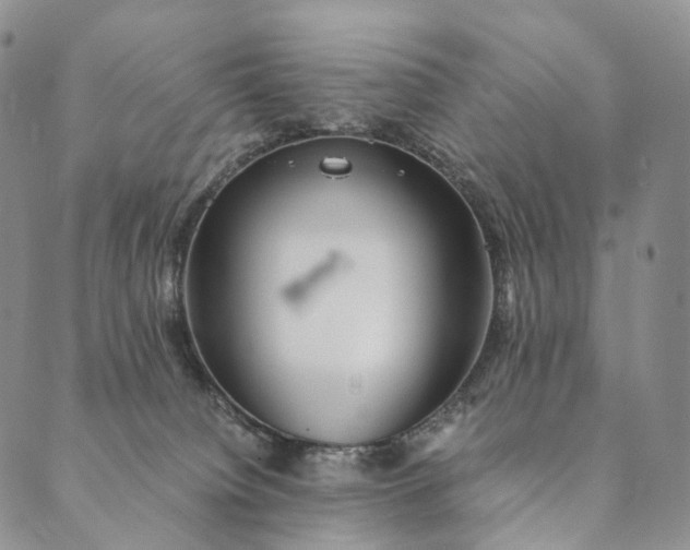 X0000089970084200707131433