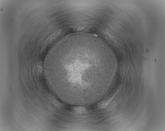 X0000089970085200707131433