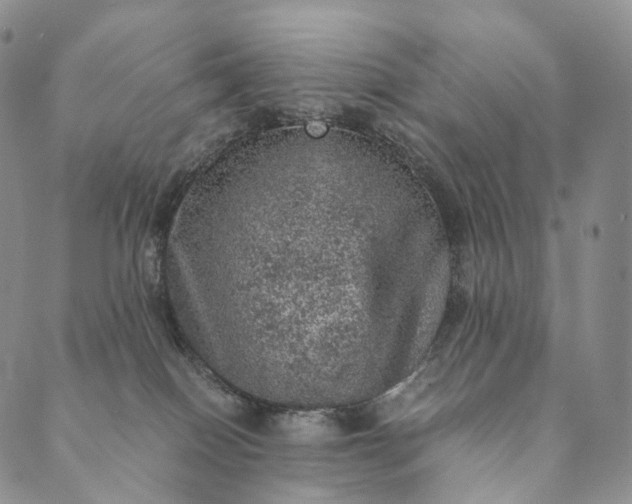 X0000089970086200707131433