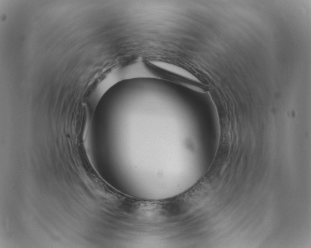 X0000089970088200707131433