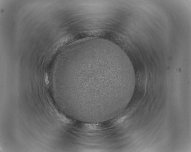 X0000089970089200707131433