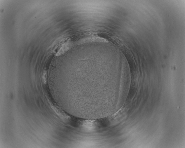 X0000089970090200707131433