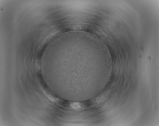 X0000089970091200707131433