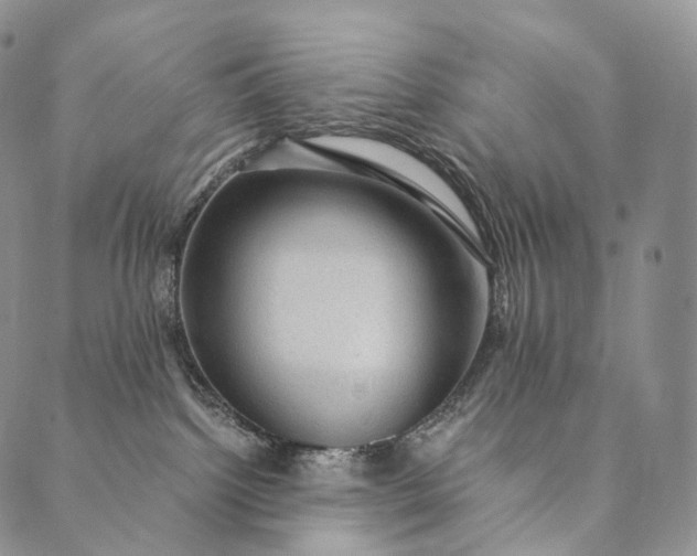 X0000089970092200707131433