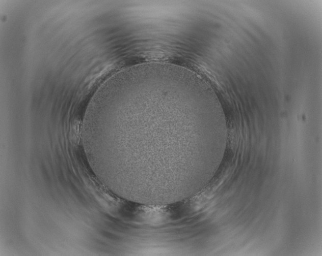 X0000089970093200707131433