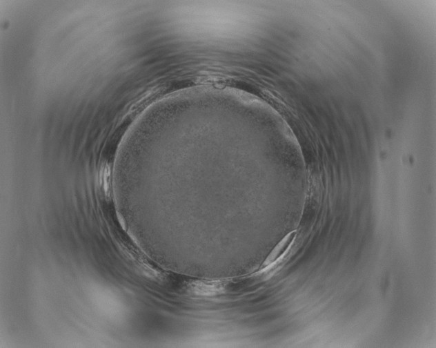 X0000089970094200707131433