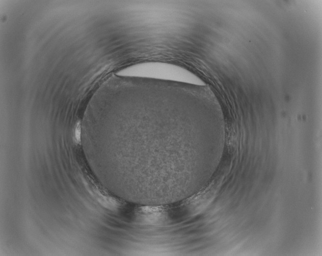 X0000089970095200707131433