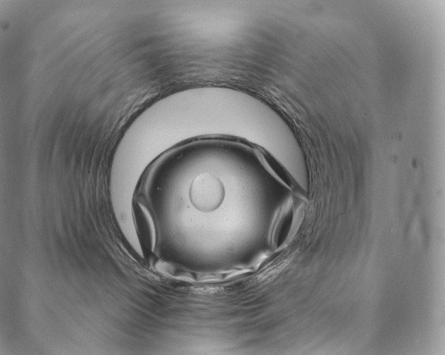 X0000089970096200707131434