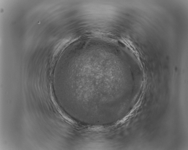 X0000089970097200707131433