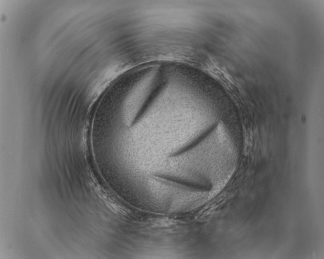 X0000089970098200707131433