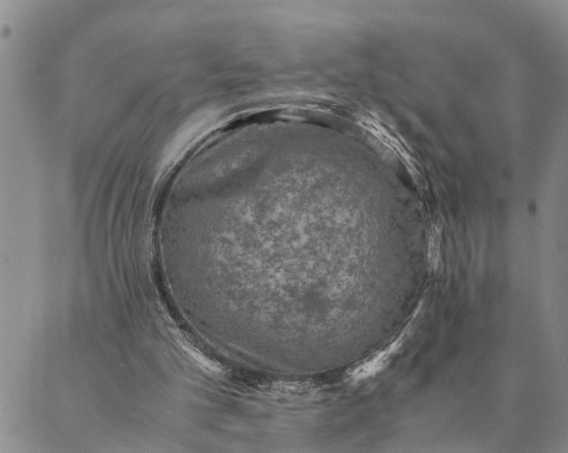 X0000089970101200707131433