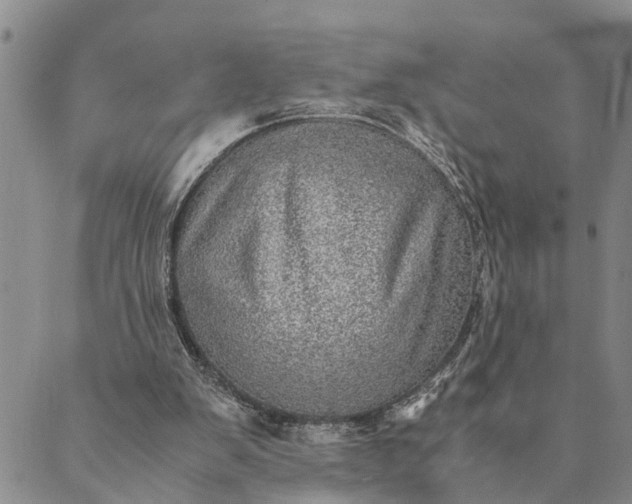 X0000089970103200707131433