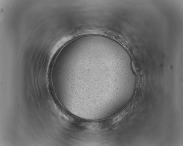 X0000089970104200707131433