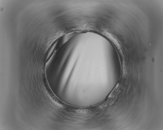 X0000089970105200707131433