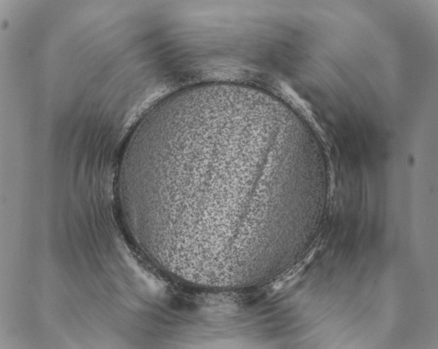 X0000089970106200707131433