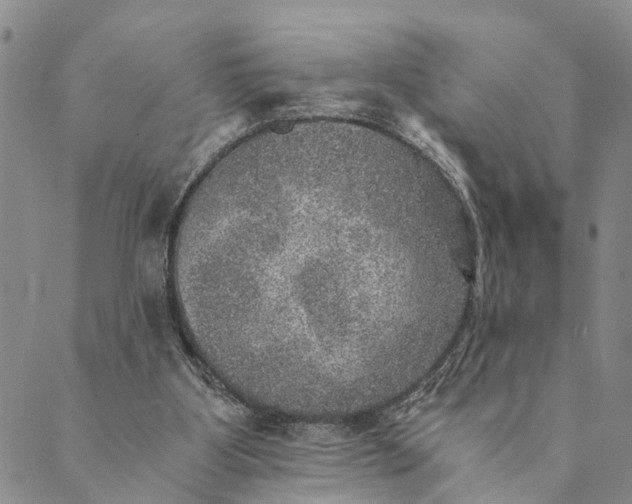 X0000089970107200707131433