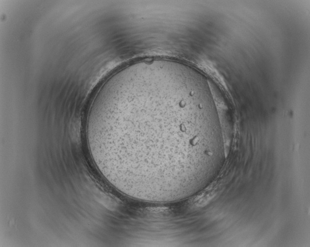 X0000089970108200707131433