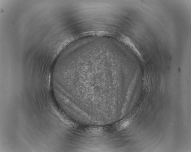 X0000089970110200707131432