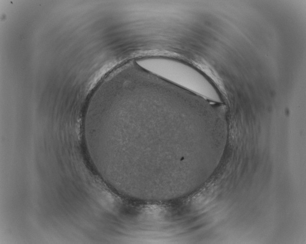 X0000089970111200707131432