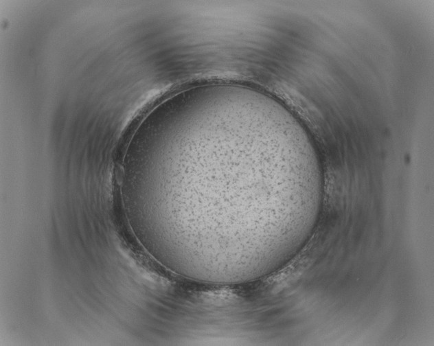 X0000089970112200707131432