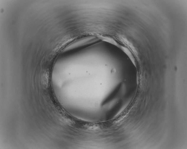 X0000089970113200707131432