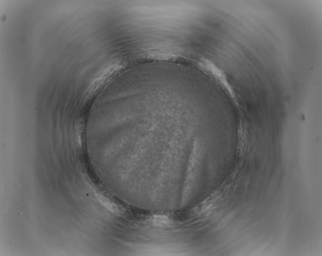 X0000089970114200707131432